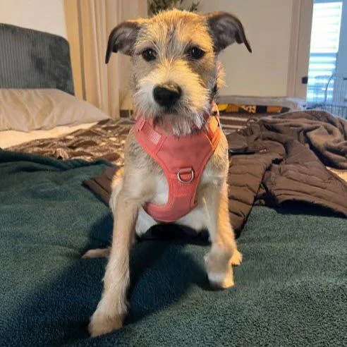 Lola Wannaplay? thumbnail 2