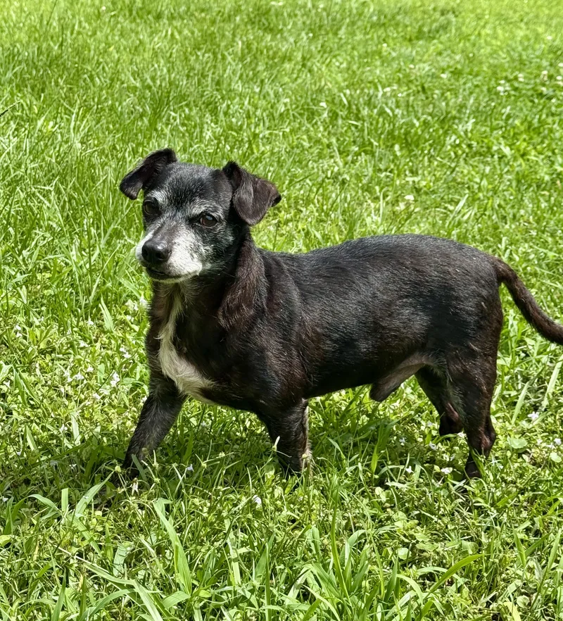 Max