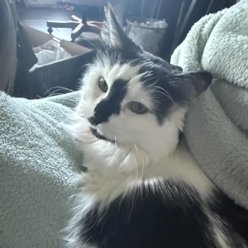 Molly