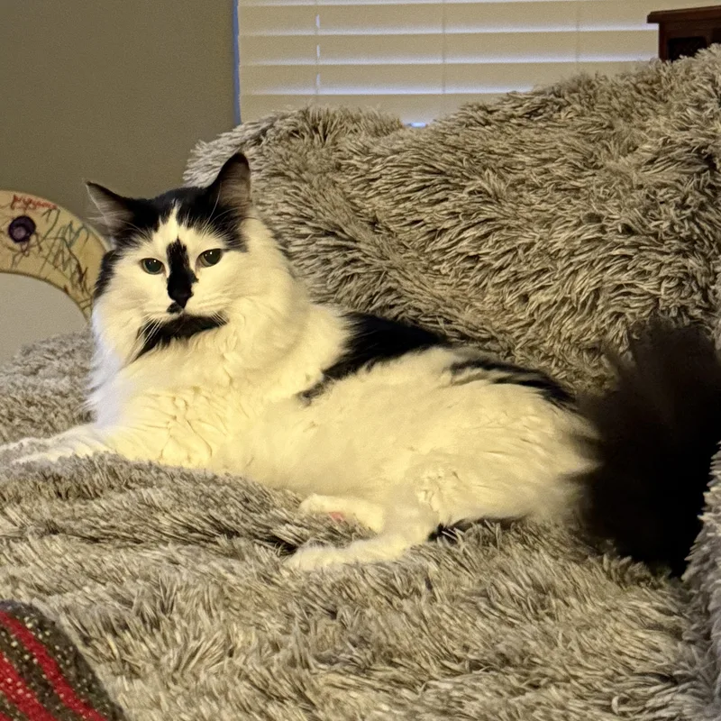 Molly thumbnail 5
