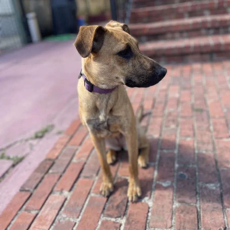 Raine Jane thumbnail 4