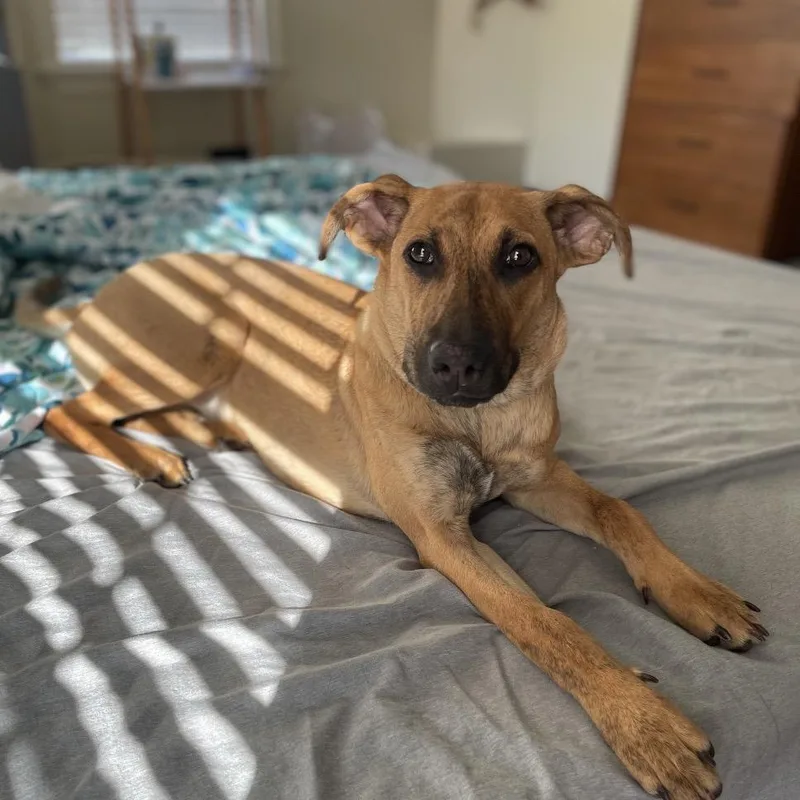 Raine Jane thumbnail 5