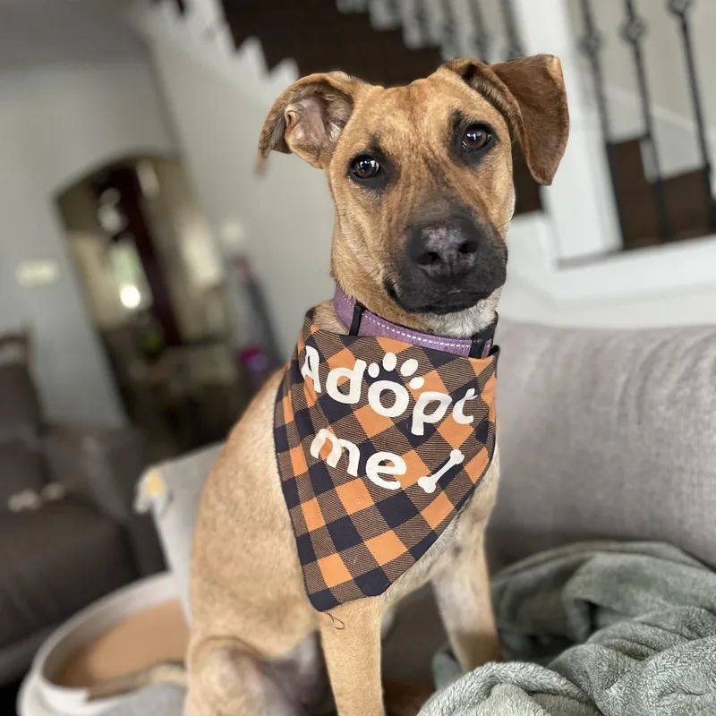 Raine Jane thumbnail 6