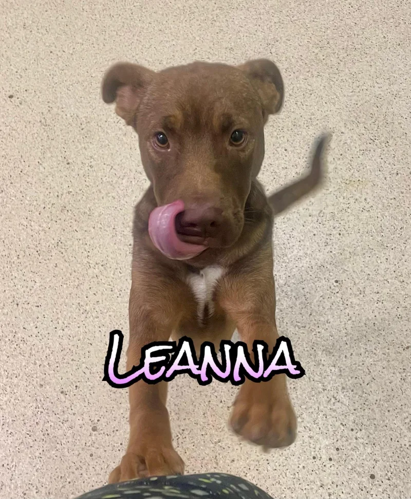 Leanna