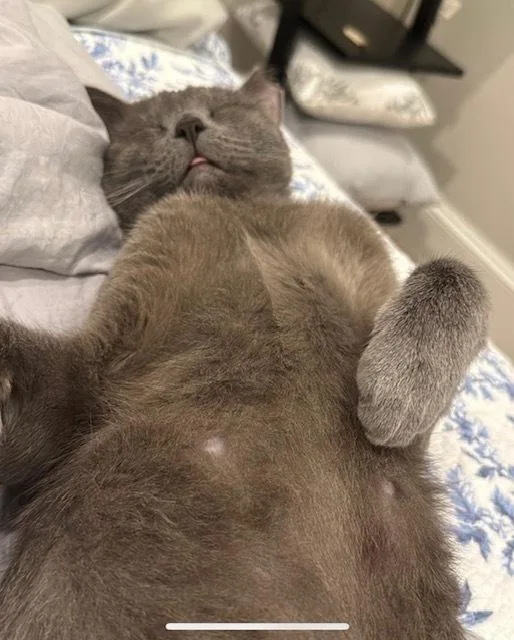 Earl Grey