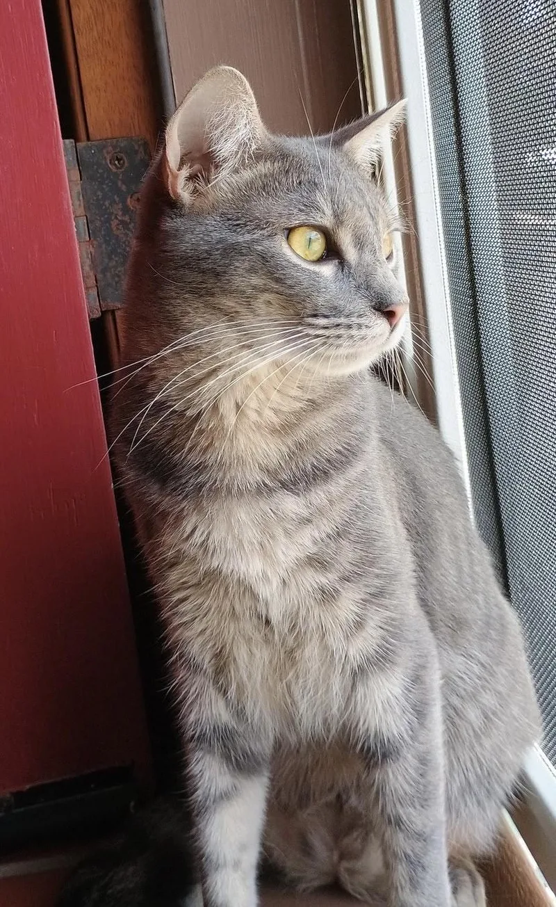 Dorothy Ann thumbnail 2