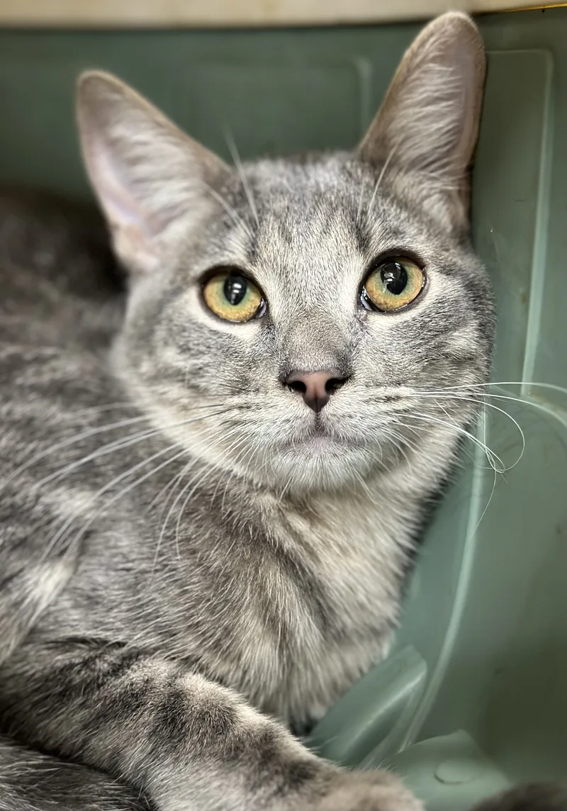 Dorothy Ann thumbnail 3