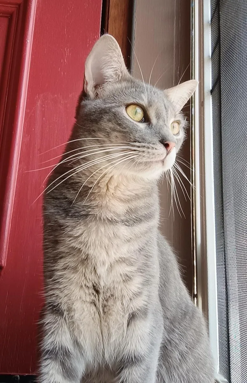 Dorothy Ann thumbnail 4