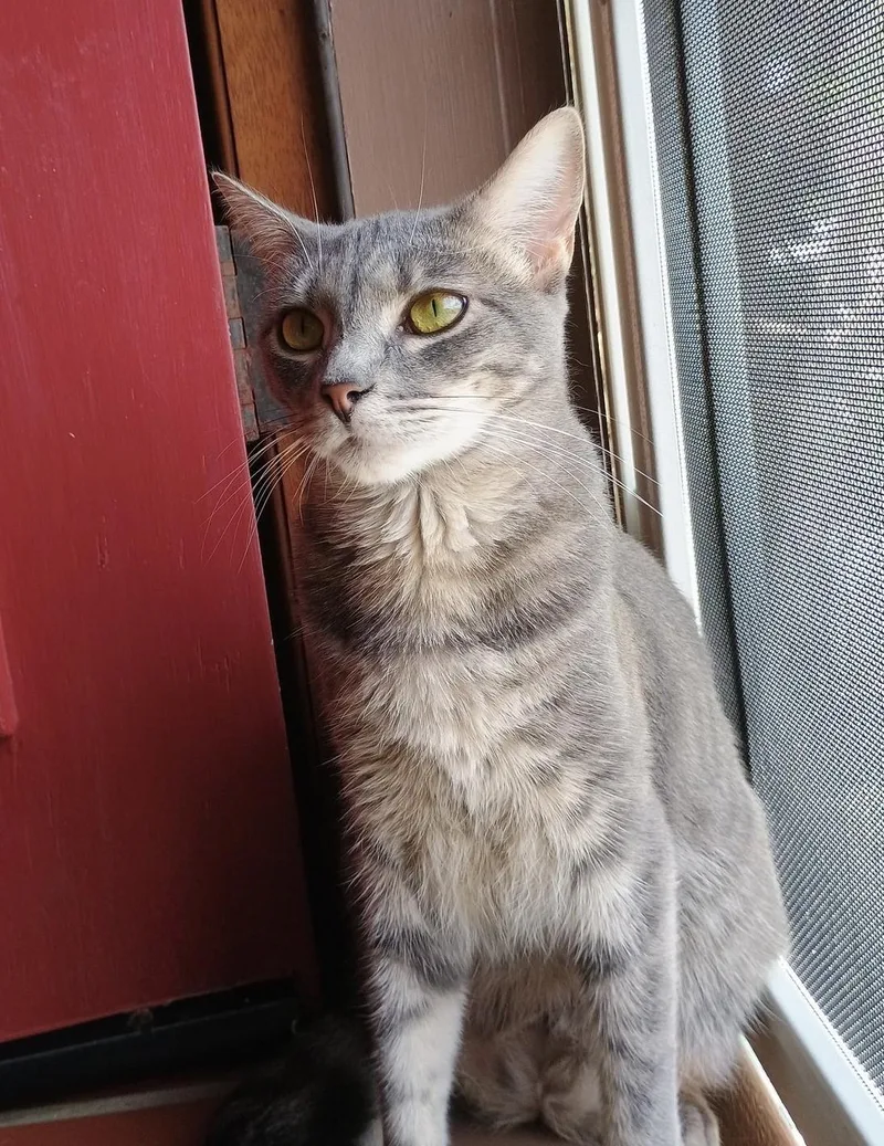 Dorothy Ann thumbnail 5