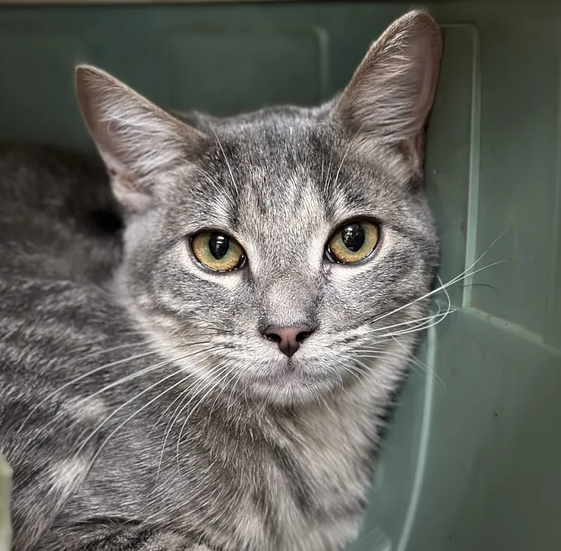 Dorothy Ann thumbnail 6