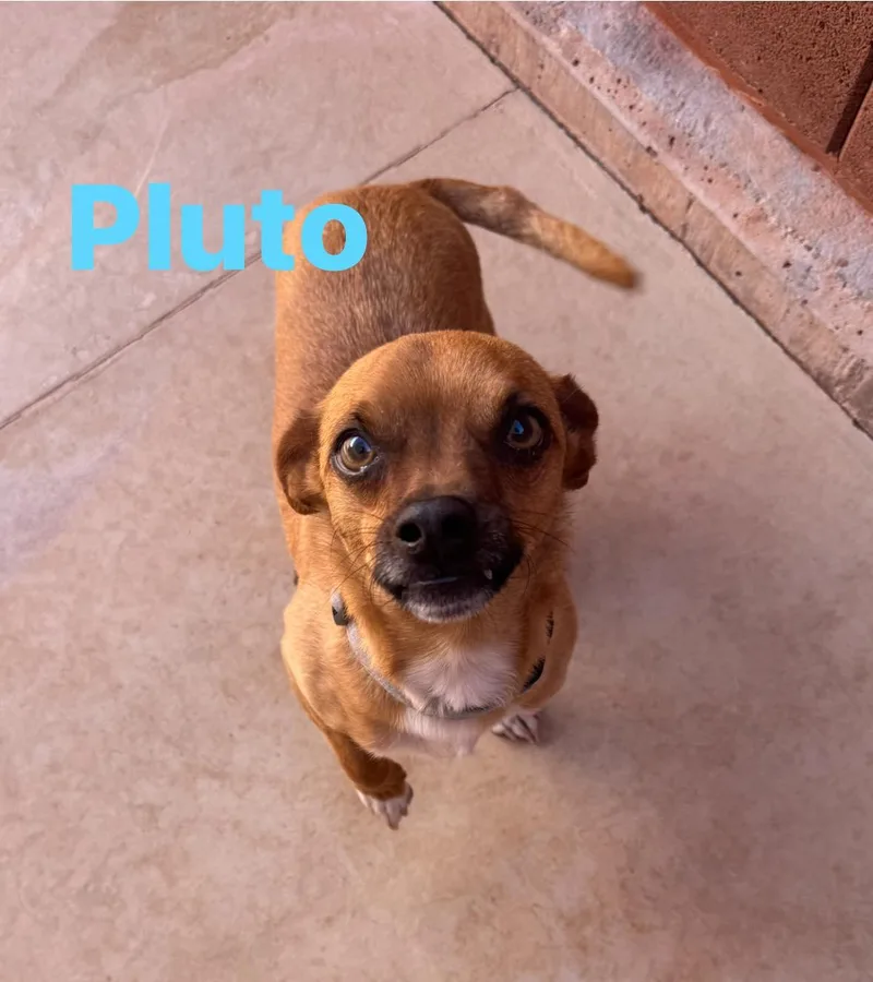 Pluto thumbnail 2