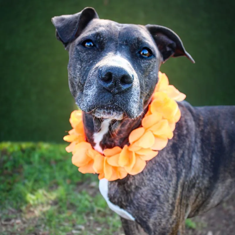 Lilly Mae thumbnail 2