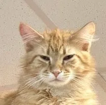 Gus @ Fat Cat thumbnail 5