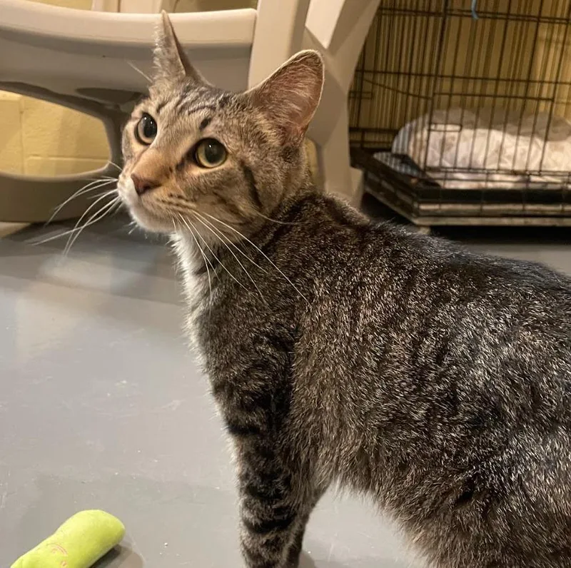 Washington thumbnail 3