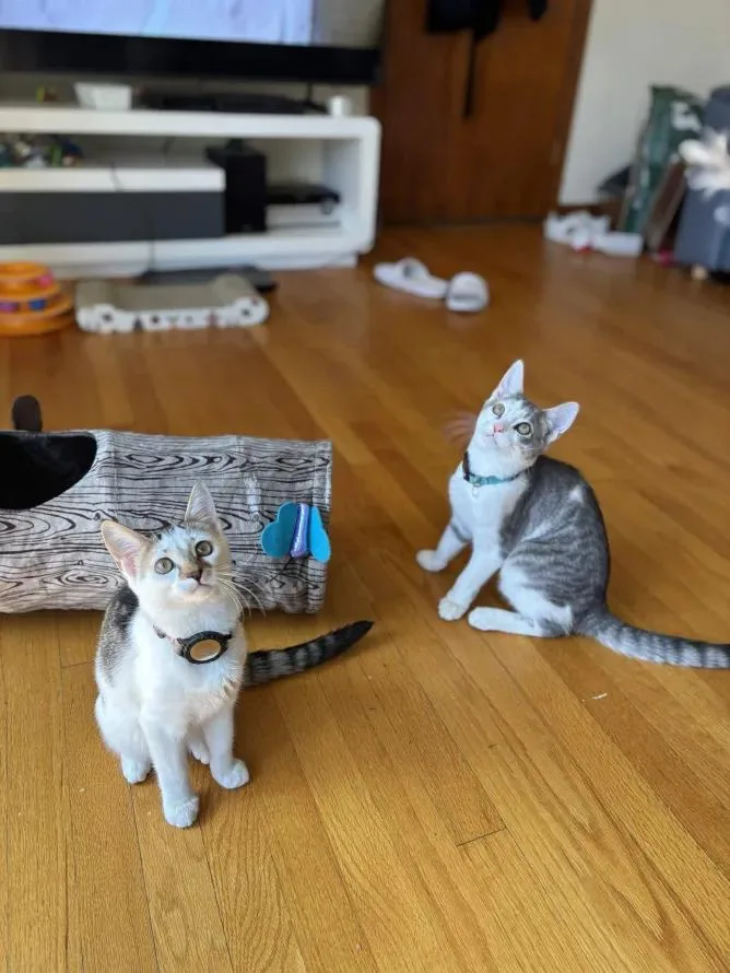 Frida Kahlo thumbnail 5