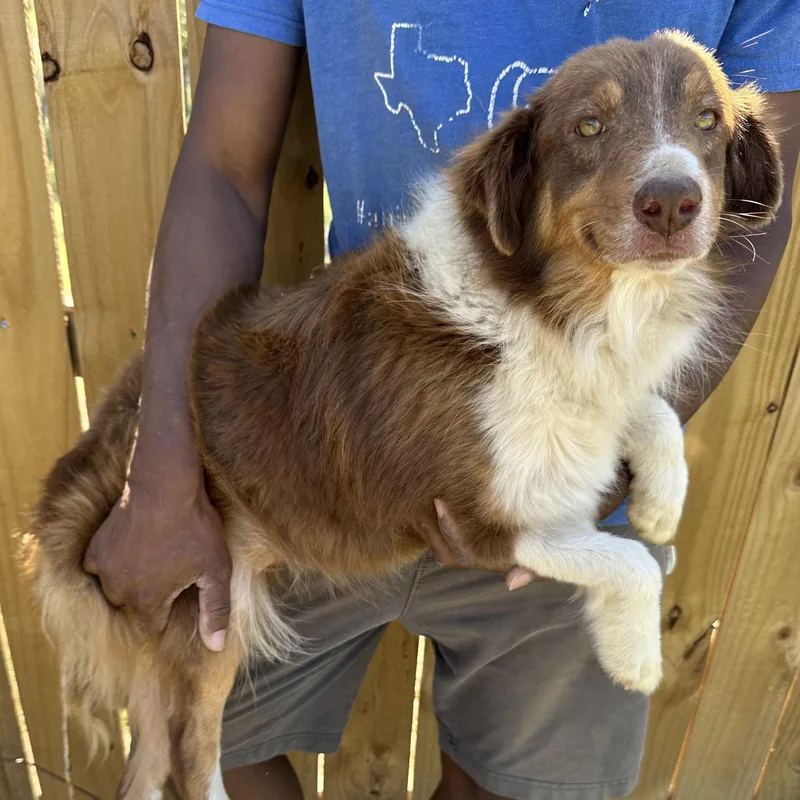 Rosey  Local April thumbnail 4