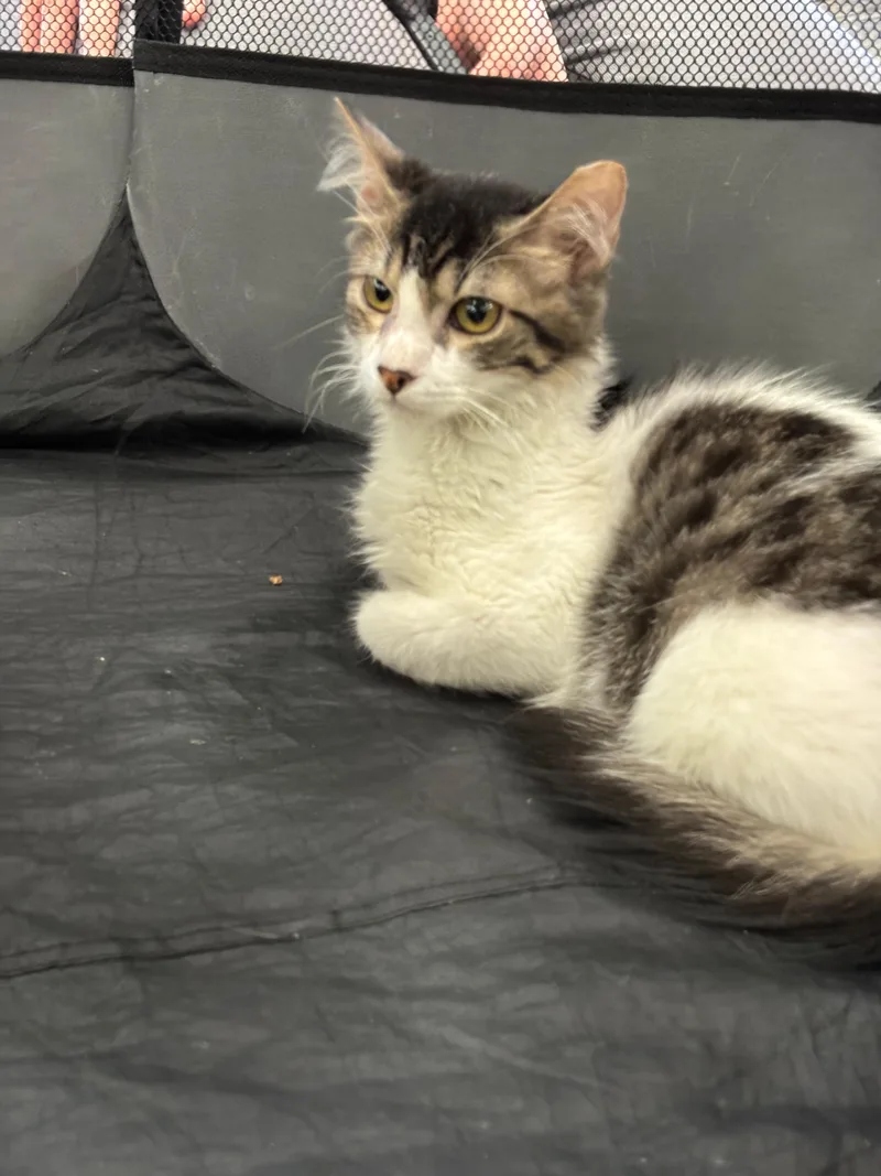 Danielle thumbnail 2