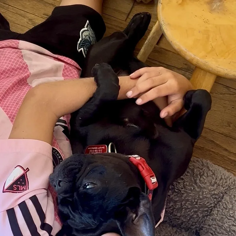 Don Pablo thumbnail 2