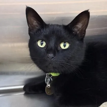 Salem thumbnail 2