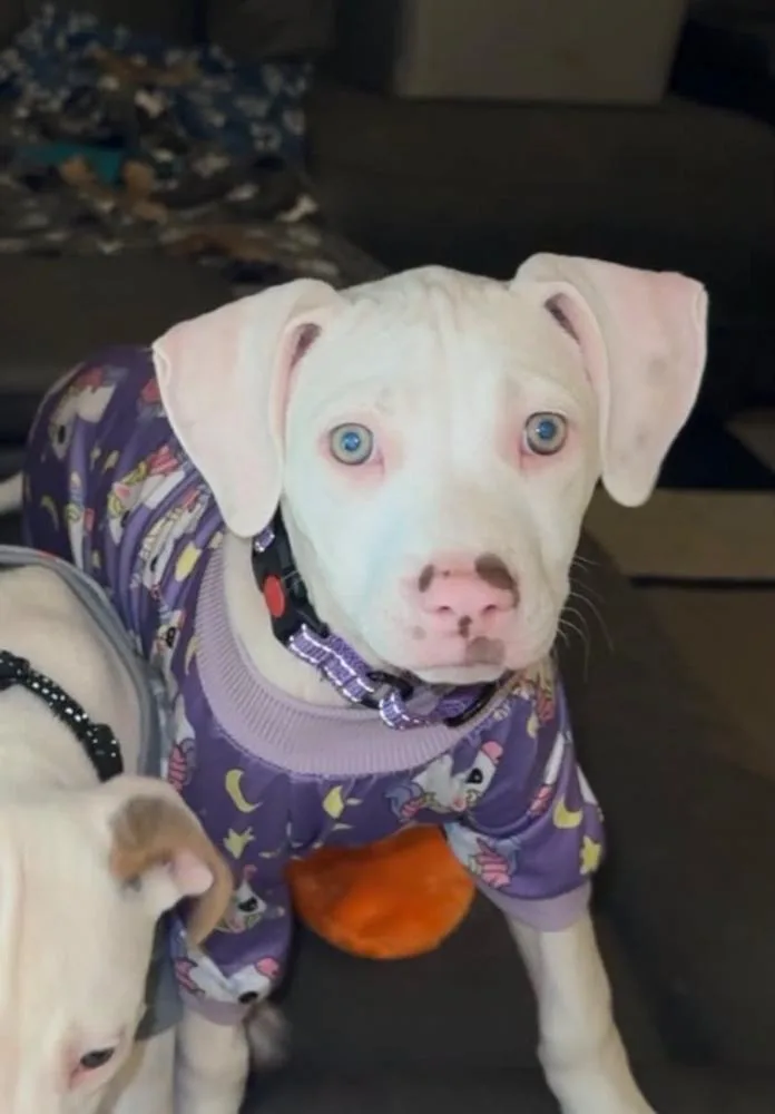 Hannah thumbnail 3