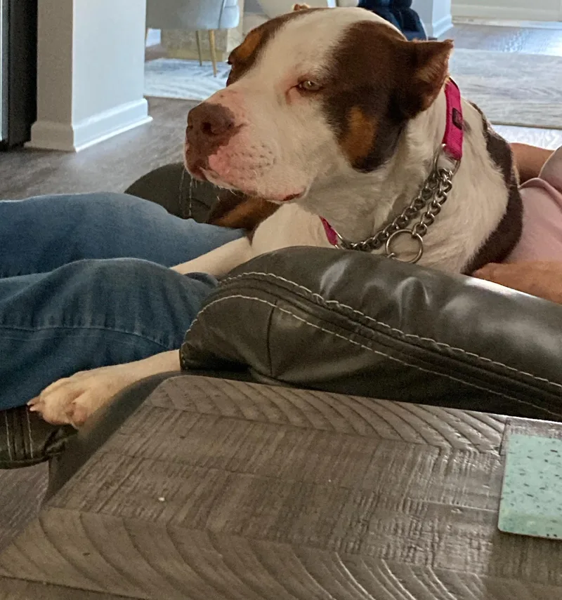 Finnagan thumbnail 2