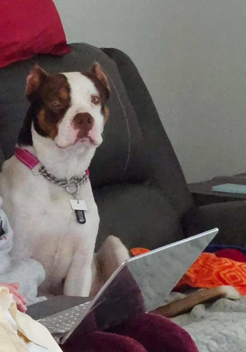 Finnagan thumbnail 3