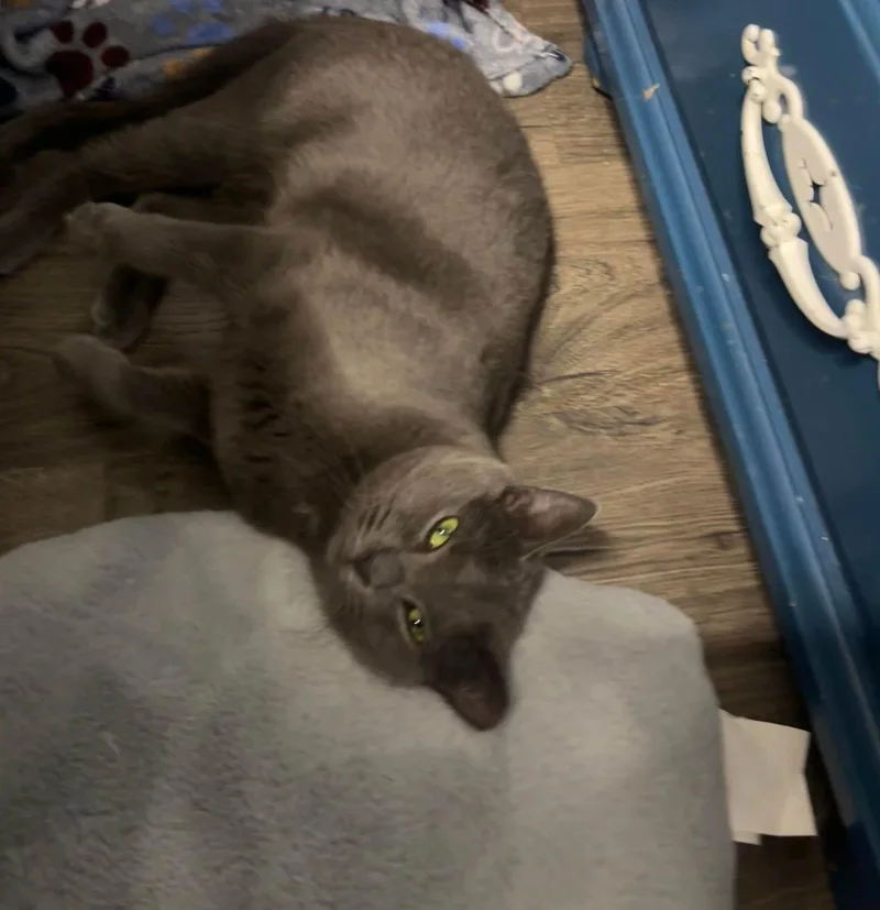 Angie thumbnail 3