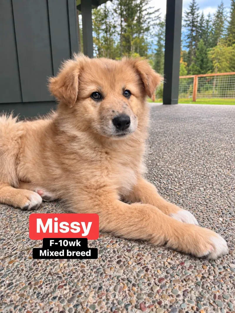 Missy thumbnail 3