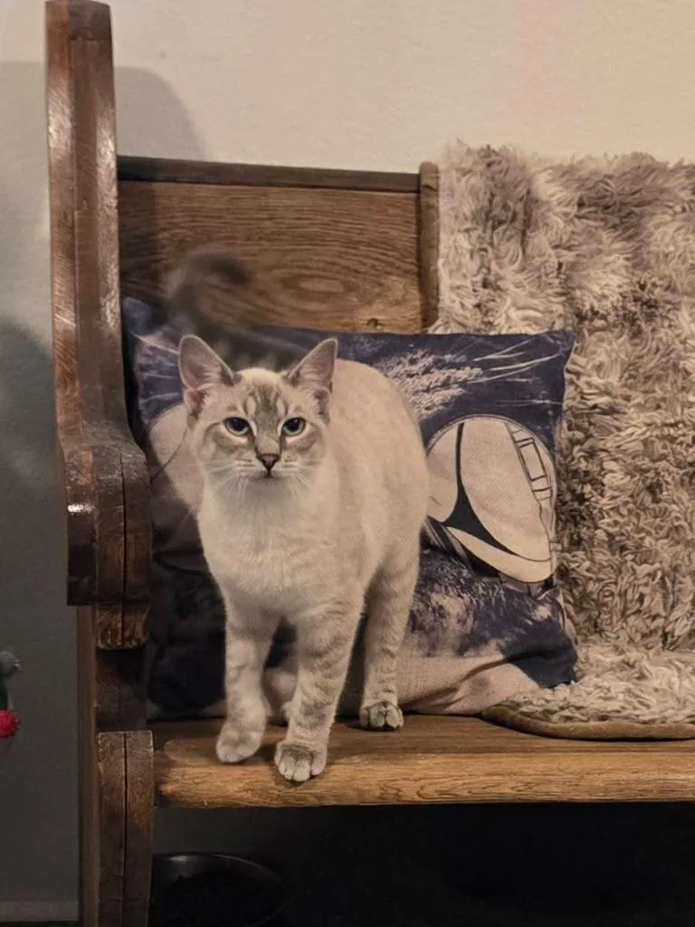 Farmer Fitzgerald thumbnail 3