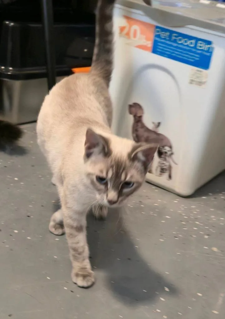 Farmer Fitzgerald thumbnail 4