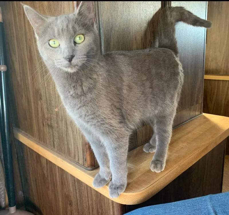 Princess thumbnail 6