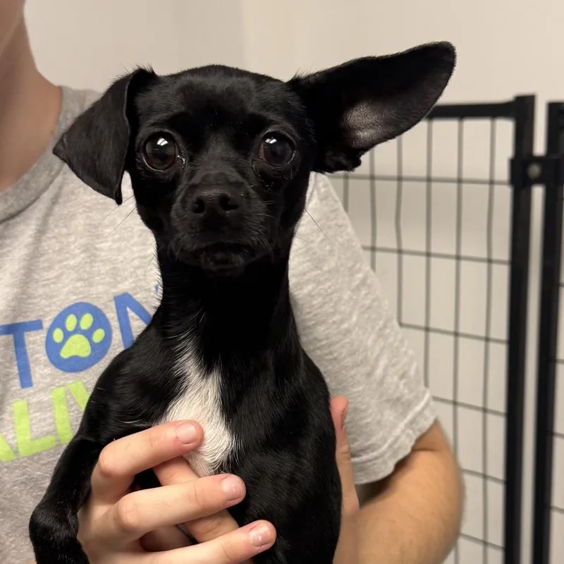 Jenny thumbnail 2