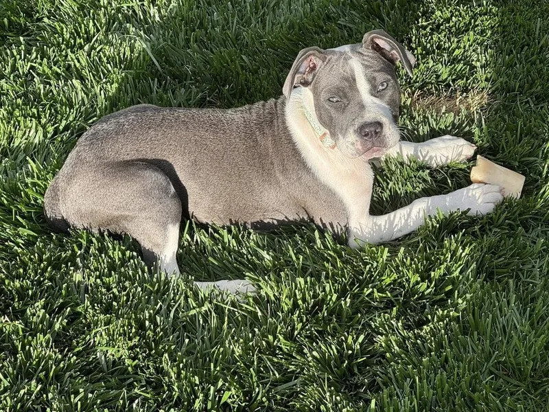 Lexi thumbnail 5