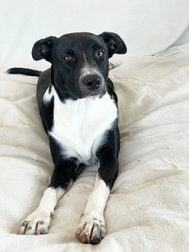 Sweet Cecilia thumbnail 2