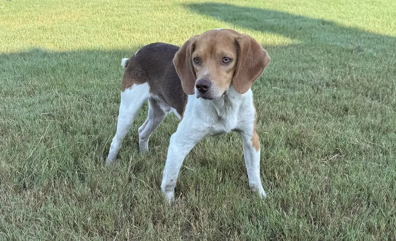 Rusty