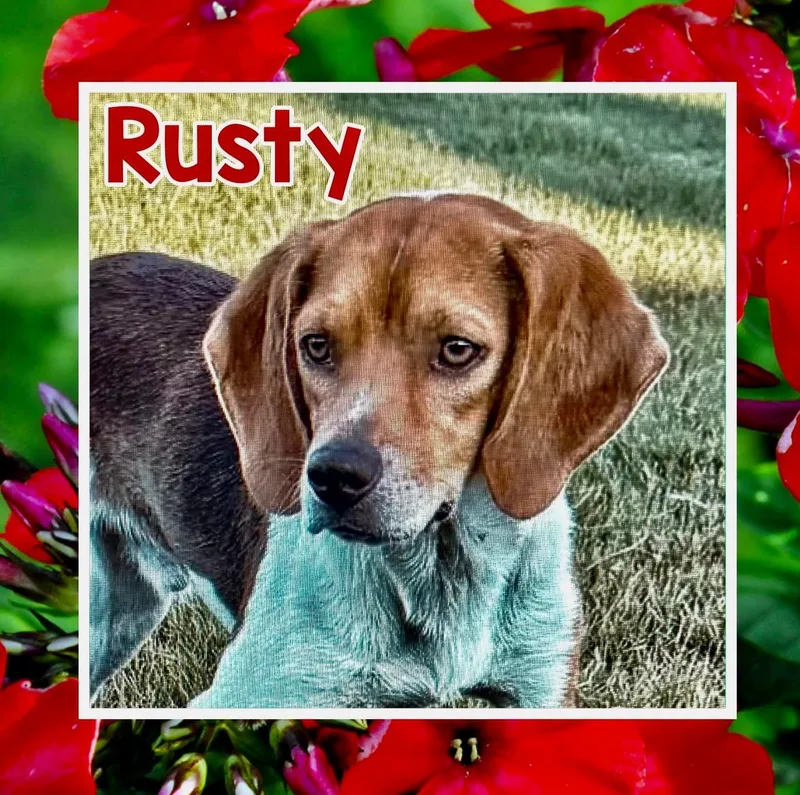 Rusty thumbnail 3