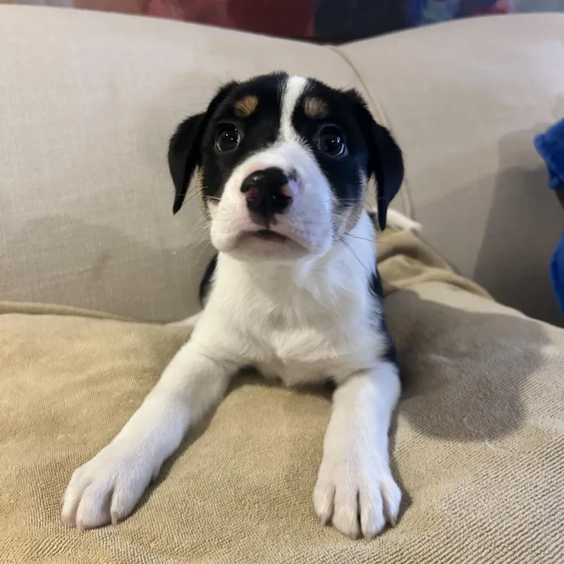 Waylon thumbnail 3