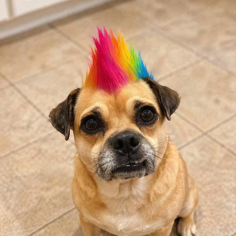 Conway Twitty thumbnail 3