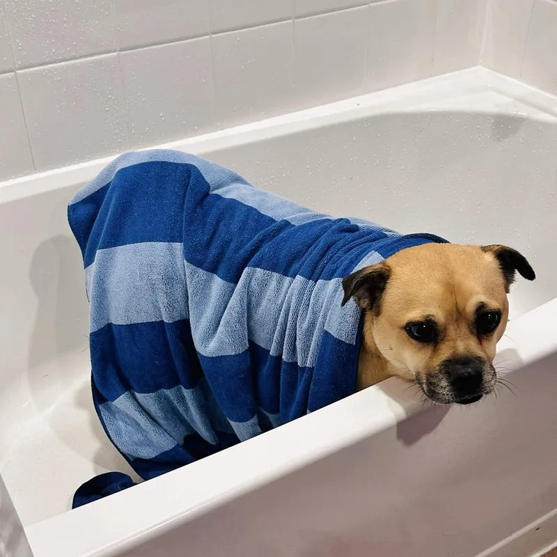 Conway Twitty thumbnail 4