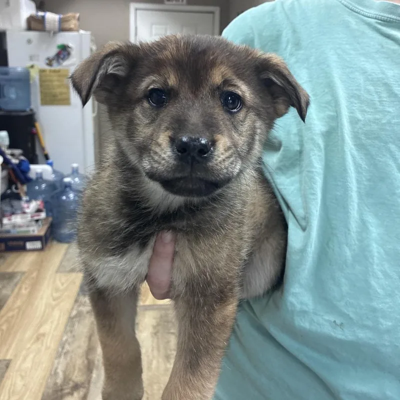 Ny Tom Selleck Avail thumbnail 2