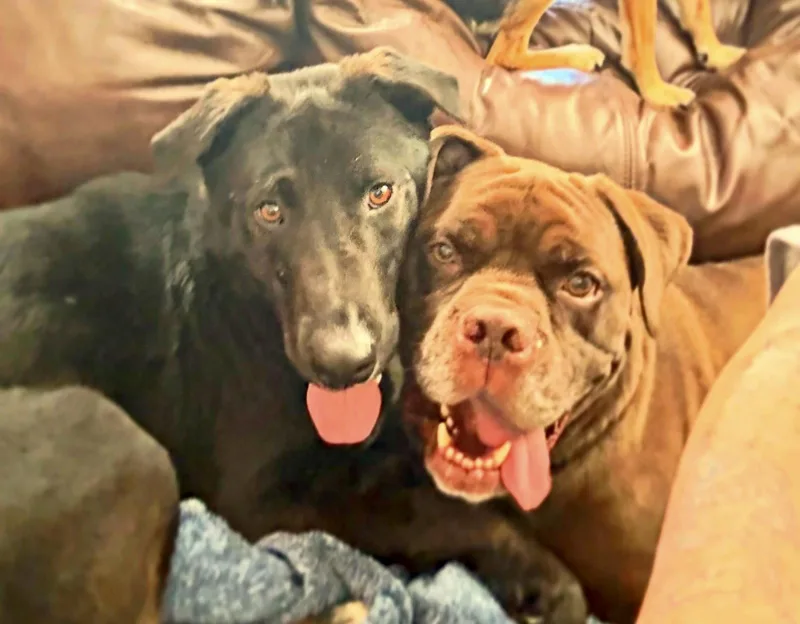 Ernie thumbnail 2