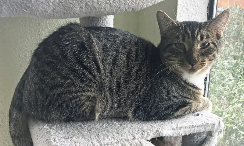 Mr. Littlem thumbnail 2