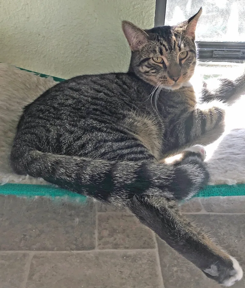 Mr. Littlem thumbnail 3