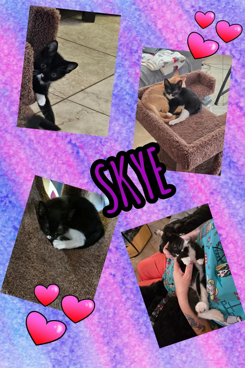 Skye thumbnail 2