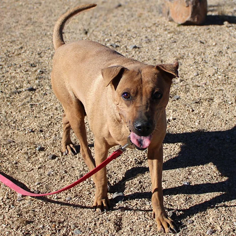 Willamina thumbnail 3