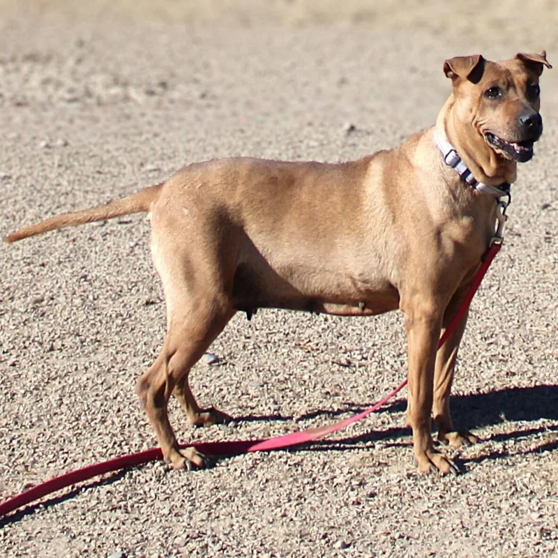 Willamina thumbnail 4