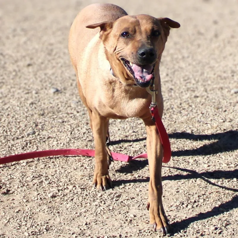 Willamina thumbnail 5