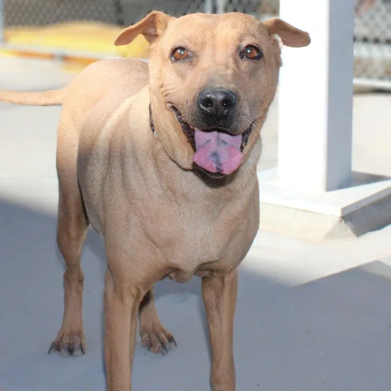 Willamina thumbnail 6