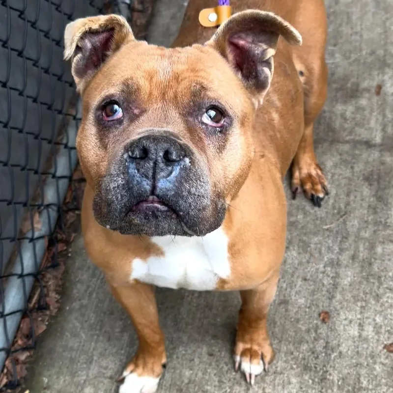 Bonnie ~ Coming Soon!!!