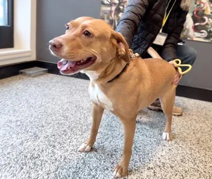 Maddie Fka Leta thumbnail 2